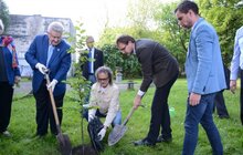 Фото 4: У Замарстинівському сквері висадили перше символічне дерево, ознаменувавши старт його реконструкції
