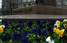 Фото 9: У місті розпочалась весняна висадка квітів 