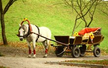 Фото 6: Цими вихідними на Львівщині відбулися всеукраїнські змагання з пішого мандрівництва