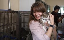 Фото 15: Львів перший у світі підрахував вуличних котів