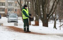 Фото 11: У парку Львова вперше використали кавову гущу для боротьби з ожеледицею