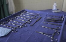 Фото 21: На початку травня у Львові відкриють Центр адопції безпритульних тварин