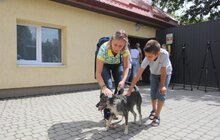Фото 10: У Львові відомі спортсмени допомагали безпритульним тваринам
