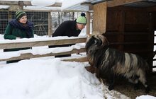 Фото 27: У мерії розглядають можливості комплексного розвитку парку «Знесіння» і Домівки врятованих тварин