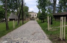 Фото 8: З нагоди свого 90-ліття в Україні Ротарі-клуб заснував іменну алею у Шевченківському гаю
