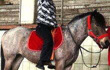 Фото 8: 10 осіб з особливими потребами пройшли курс «іпотерапії»