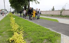 Фото 16: В ремонт вул. Курмановича та Данила Апостола місто інвестує 150 млн грн — дороги стануть проїзними до кінця літа