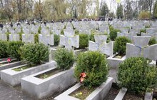 Фото 7: У Львові відзначили 99-ту річницю Листопадового чину і проголошення Західноукраїнської Народної Республіки пішою ходою