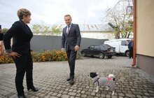 Фото 5: ЛКП «Лев» прилаштувало за 3 роки 2 тис тварин