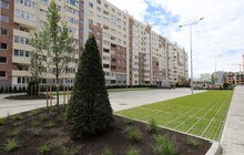 Фото 11: «Дуже добре, що ми зберегли ці дерева», — мер про врятовані багряники на вул. Угорській