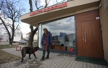 Фото 8: Розпочав роботу перший у Західній Україні банк крові для тварин: унікальний проект ЛКП «Лев» та партнерів