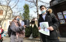Фото 14: В рамках міжнародного проєкту «Озеленення планети» на площі Соборній висадили перші дерева