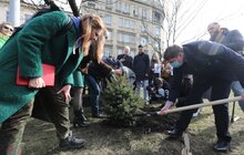 Фото 20: В рамках міжнародного проєкту «Озеленення планети» на площі Соборній висадили перші дерева