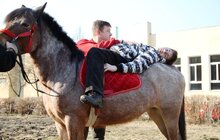 Фото 3: Нещодавно 10 неповносправних осіб пройшли курс іпотерапії