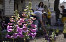 Фото 18: На площі Ринок стартував другий сезон Львівського фермерського ярмарку