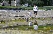 Фото 10: До кінця року озеро на вул. Панча наповнять водою: роботи проводять за кошти інвестора (відео)