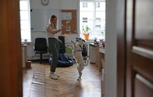 Фото 15: Візьми собаку на роботу: працівники мерії Львова прийшли на роботу із чотирилапими (відео)