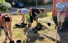 Фото 5: Мешканці висадали понад 40 кущів біля свого будинку: результати першого дня Майстерні міста