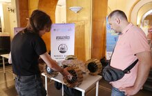 Фото 1: Учні училища, які придумали унікальний наземний дрон, виграли 5000$ на свою справу, стажування в Австрії та поїздку до США (відео)