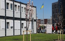 Фото 9: Модульне містечко на Сихові отримало генератор та 1400 спальних комплектів (відео)