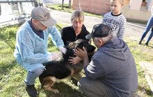 Фото 10: У Підбірцях безкоштовно провакцинували 35 котів та собак від сказу