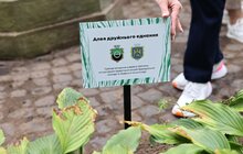 Фото 12: До Дня міста Бахмут його мешканці висадили у Львові троянди в пам'ять про свою домівку
