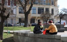 Фото 4: У Львові висадять понад 500 дерев та кущів (відео)