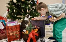Фото 20: Ще дев’ятеро дітей мають сім’ю: у Львівській громаді відкрили новий Дитячий будинок сімейного типу (фото/відео)