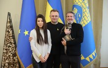 Фото 24: Благодійна організація GEM відновила у Львові вже більше 2200 вікон, які пошкодили російські ракети (відео)