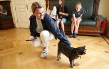 Фото 1: Наступного року регбі стане частиною шкільних ліг