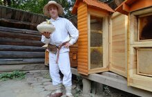 Фото 5: Живий вікенд у Шевченківському гаю