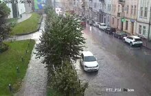 Фото 5: У Львові оперативно ліквідовують наслідки негоди: повалені дерева, обірвані мережі та зміни в русі транспорту (відео)