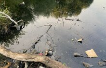 Фото 3: Місто звернулось до правоохоронців щодо забруднення озер у районі вулиць Рахівська – Райдужна