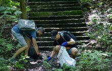Фото 1: Львів’яни та шведи провели екодень та плоггінг у парку
