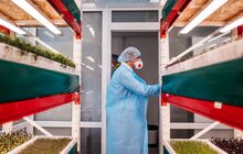 Фото 26: Міський голова Львова відвідав локальний фестиваль Street Food та відзначив підприємців ринку «Шувар» за вагомий внесок у розвиток малого бізнесу