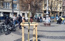 Фото 9: На вихідних у Львові висадили 73 дерева