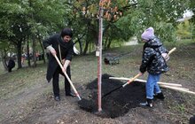 Фото 19: У Львові висадили 96 іменних дерев, присвячених загиблим Героям