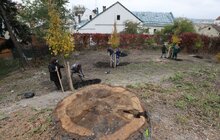 Фото 29: У Львові висадили 96 іменних дерев, присвячених загиблим Героям