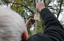Фото 30: У Львові висадили 96 іменних дерев, присвячених загиблим Героям