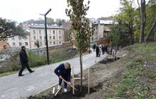 Фото 36: У Львові висадили 96 іменних дерев, присвячених загиблим Героям