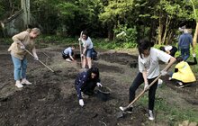Фото 1: Лучні квіти і трави: у львівському парку засіяли різнотрав’я