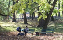 Фото 2: У парку ім. Івана Франка продовжують облаштовувати другу за важливістю доріжку за унікальною методикою