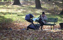Фото 10: У парку ім. Івана Франка продовжують облаштовувати другу за важливістю доріжку за унікальною методикою