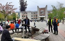 Фото 3: Сакури, клени, липи, граби, дуби та груші: у Львові за тиждень висадили понад 60 дерев та кущів