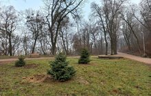 Фото 5: У парку Високий замок встановили гойдалки та висадили 127 дерев