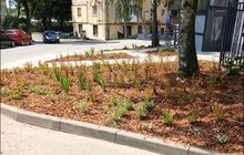 Фото 1: Біля нічліжки для бездомних облаштували новий громадський простір