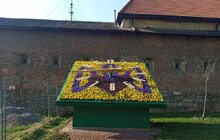 Фото 12: У Львові висадили перші квіти: 1408 штук віол заквітчали «квітковий годинник» біля пл. Митної