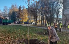 Фото 2: Цієї осені на території Сихівського району посадили 45 дерев та 94 кущі