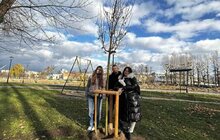 Фото 1: Понад 60 нових дерев висадили в Залізничному районі Львова