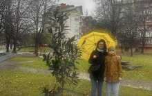 Фото 2: Понад 60 нових дерев висадили в Залізничному районі Львова